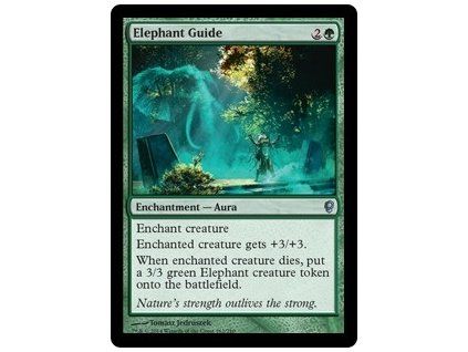 Elephant Guide