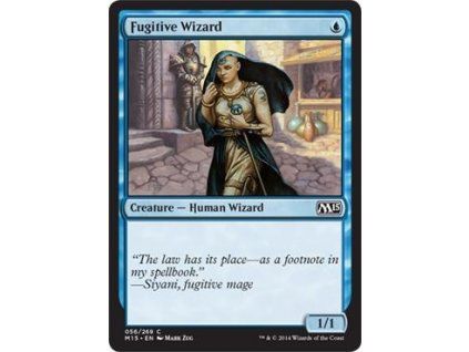 Fugitive Wizard
