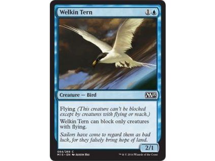 Welkin Tern