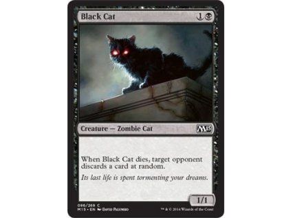Black Cat