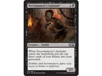 Necromancer's Assistant