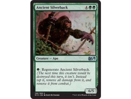 Ancient Silverback