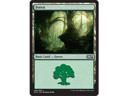 Forest