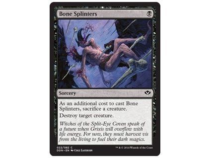 Bone Splinters