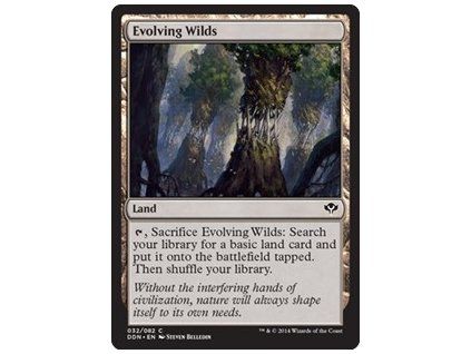 Evolving Wilds