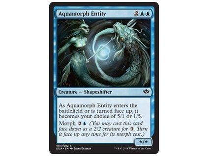 Aquamorph Entity