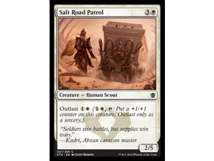 Salt Road Patrol
