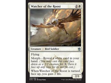 Watcher of the Roost