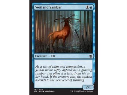 Wetland Sambar