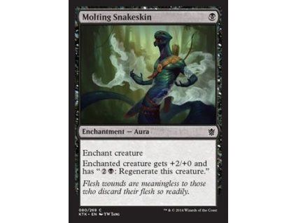 Molting Snakeskin