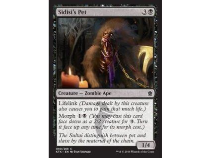 Sidisi's Pet