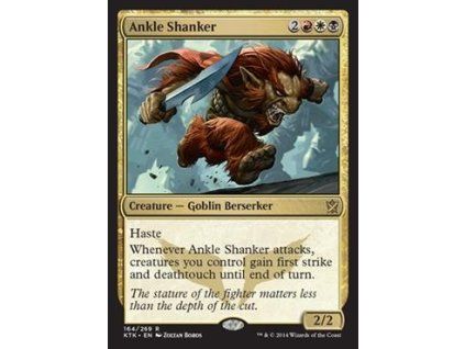 Ankle Shanker