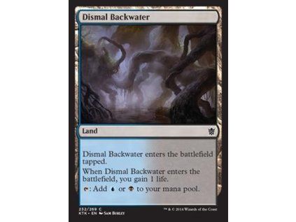 Dismal Backwater