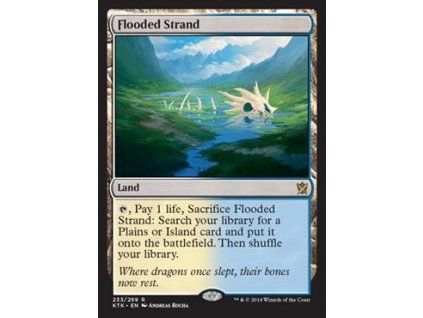 Flooded Strand