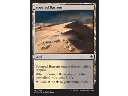 Scoured Barrens