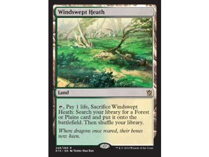 Windswept Heath