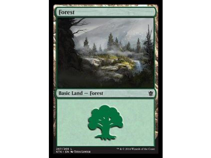 Forest