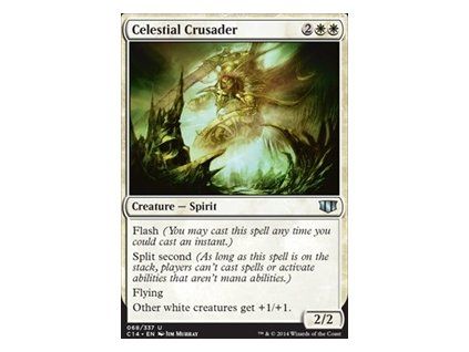 Celestial Crusader