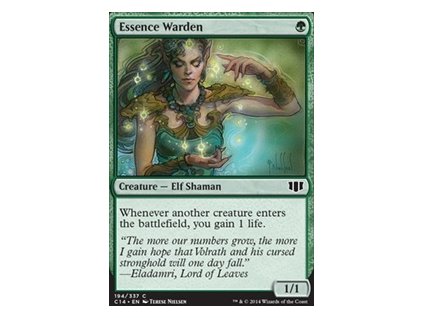 Essence Warden