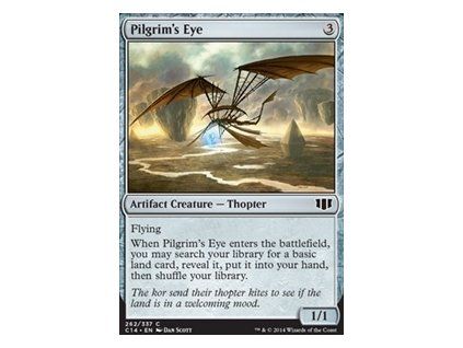 Pilgrim's Eye