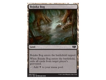 Bojuka Bog (Foil NE, Stav Near Mint)