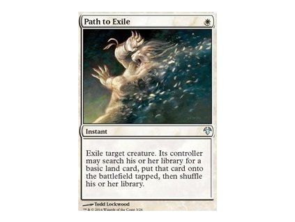 Path to Exile