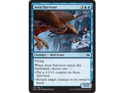 Aven Surveyor