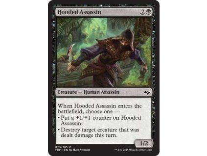 Hooded Assassin