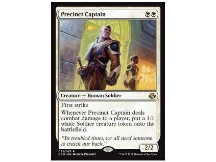Precinct Captain