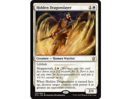 Hidden Dragonslayer