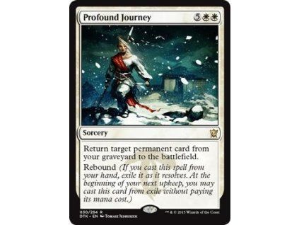 Profound Journey