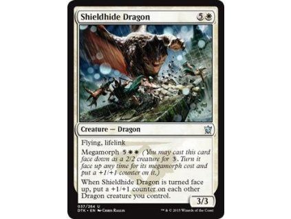 Shieldhide Dragon