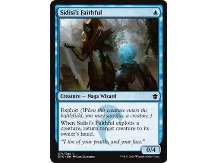 Sidisi's Faithful