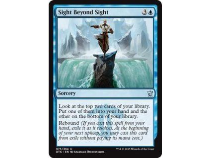 Sight Beyond Sight