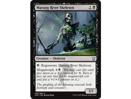 Marang River Skeleton