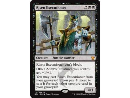 Risen Executioner