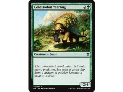 Colossodon Yearling