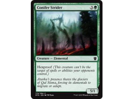 Conifer Strider