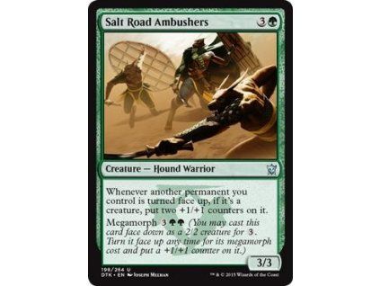 Salt Road Ambushers