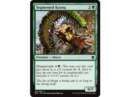 Segmented Krotiq (Foil NE, Stav Near Mint)