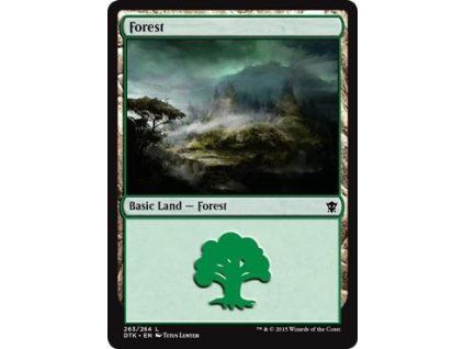 Forest