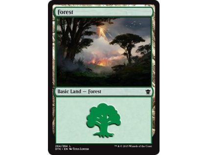Forest