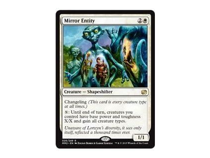 Mirror Entity