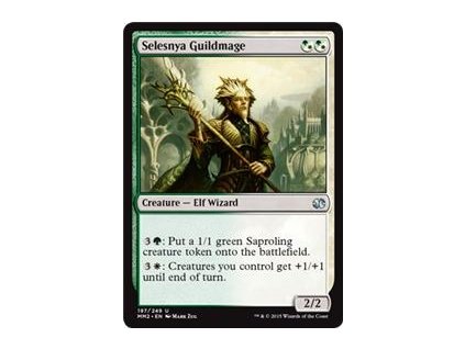 Selesnya Guildmage (Foil NE, Stav Near Mint)