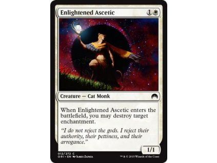 Enlightened Ascetic