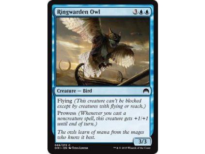 Ringwarden Owl