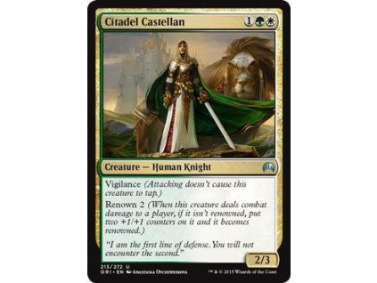 Citadel Castellan
