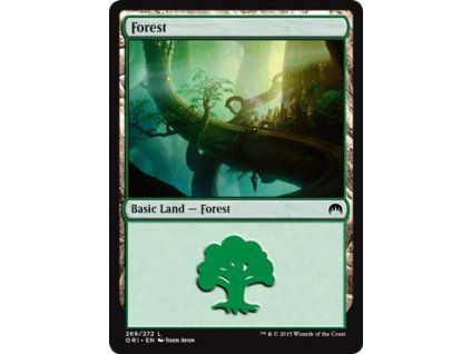 Forest