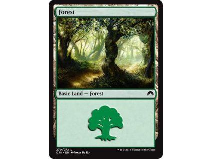 Forest