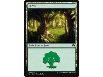 Forest